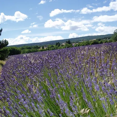 Le Grangeon Bed & Breakfast