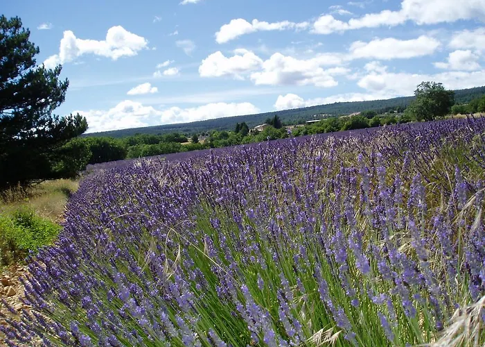 Le Grangeon Bed & Breakfast